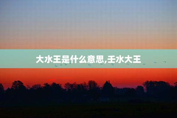 大水王是什么意思,壬水大王