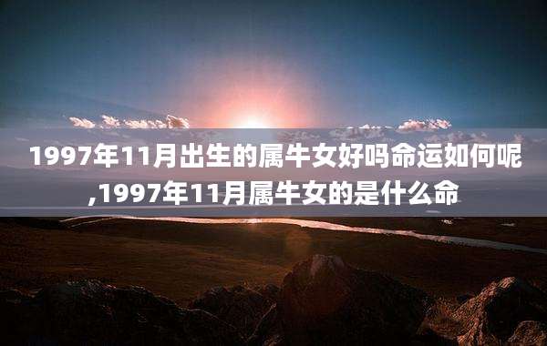 1997年11月出生的属牛女好吗命运如何呢,1997年11月属牛女的是什么命