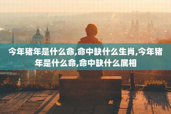 今年猪年是什么命,命中缺什么生肖,今年猪年是什么命,命中缺什么属相