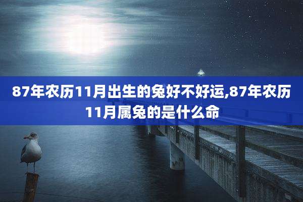 87年农历11月出生的兔好不好运,87年农历11月属兔的是什么命