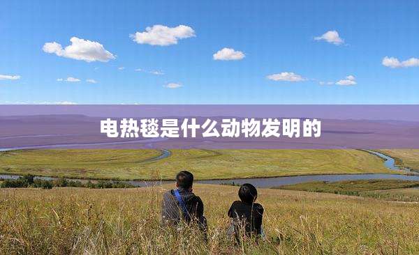 电热毯是什么动物发明的