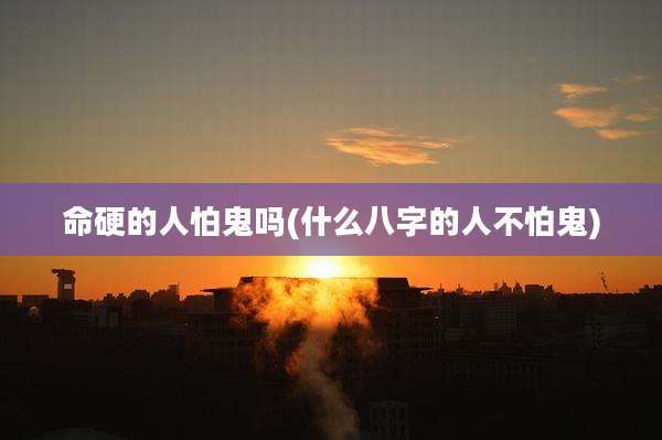 命硬的人怕鬼吗(什么八字的人不怕鬼)