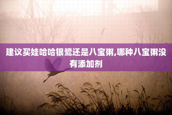 建议买娃哈哈银鹭还是八宝粥,哪种八宝粥没有添加剂