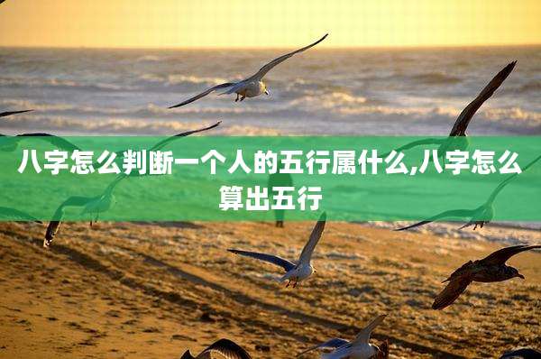 八字怎么判断一个人的五行属什么,八字怎么算出五行