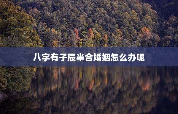 八字有子辰半合婚姻怎么办呢