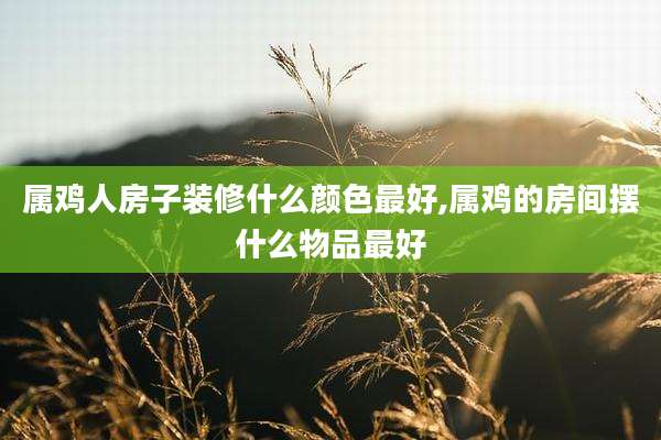 属鸡人房子装修什么颜色最好,属鸡的房间摆什么物品最好
