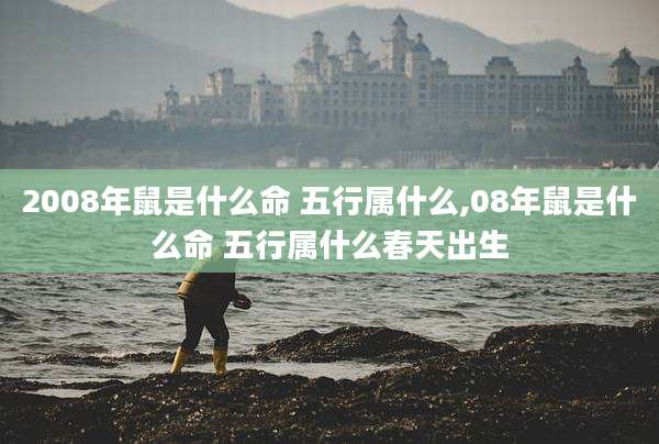 2008年鼠是什么命 五行属什么,08年鼠是什么命 五行属什么春天出生