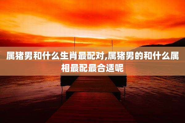 属猪男和什么生肖最配对,属猪男的和什么属相最配最合适呢