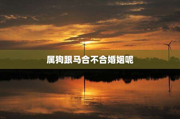 属狗跟马合不合婚姻呢