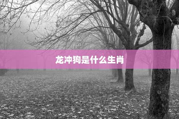 龙冲狗是什么生肖