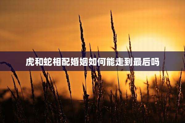 虎和蛇相配婚姻如何能走到最后吗