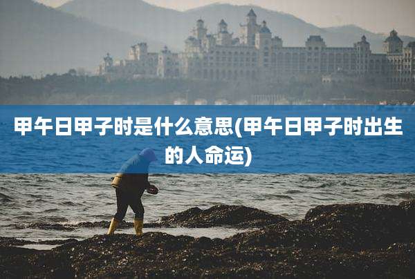 甲午日甲子时是什么意思(甲午日甲子时出生的人命运)