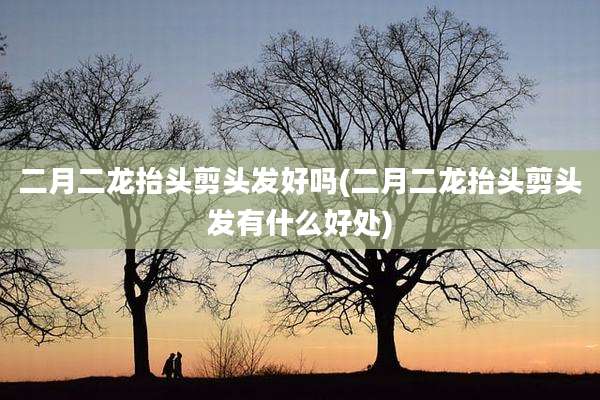 二月二龙抬头剪头发好吗(二月二龙抬头剪头发有什么好处)