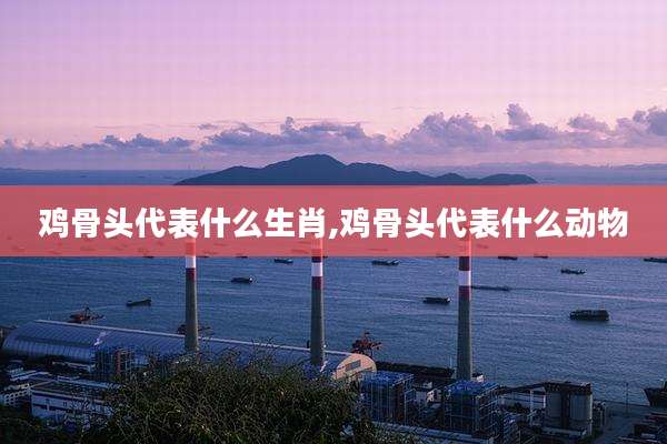 鸡骨头代表什么生肖,鸡骨头代表什么动物