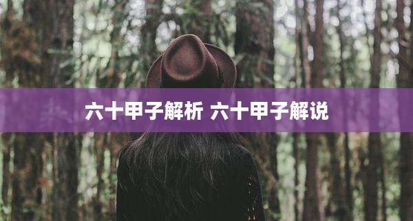 六十甲子解析 六十甲子解说