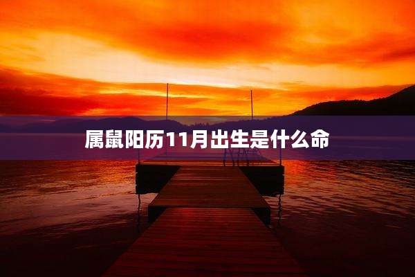 属鼠阳历11月出生是什么命