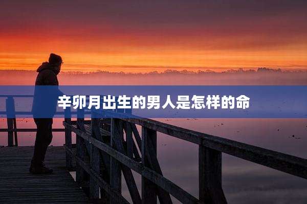 辛卯月出生的男人是怎样的命
