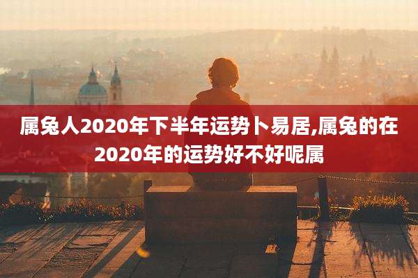 属兔人2020年下半年运势卜易居,属兔的在2020年的运势好不好呢属