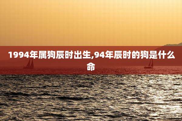 1994年属狗辰时出生,94年辰时的狗是什么命