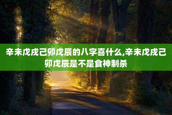 辛未戊戌己卯戊辰的八字喜什么,辛未戊戌己卯戊辰是不是食神制杀