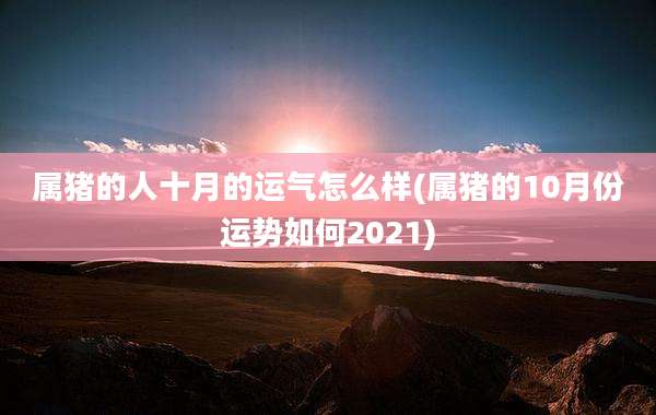属猪的人十月的运气怎么样(属猪的10月份运势如何2021)