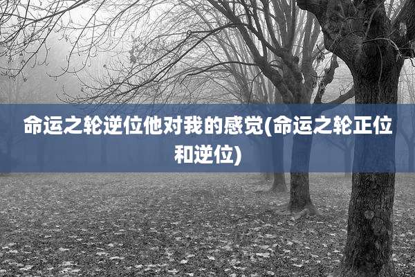命运之轮逆位他对我的感觉(命运之轮正位和逆位)