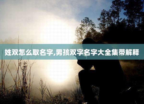 姓双怎么取名字,男孩双字名字大全集带解释