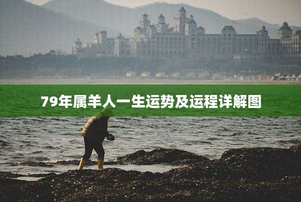 79年属羊人一生运势及运程详解图