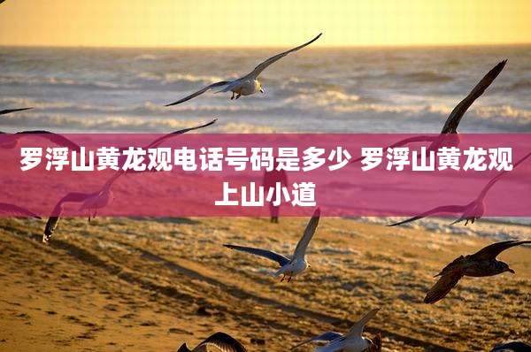 罗浮山黄龙观电话号码是多少 罗浮山黄龙观上山小道