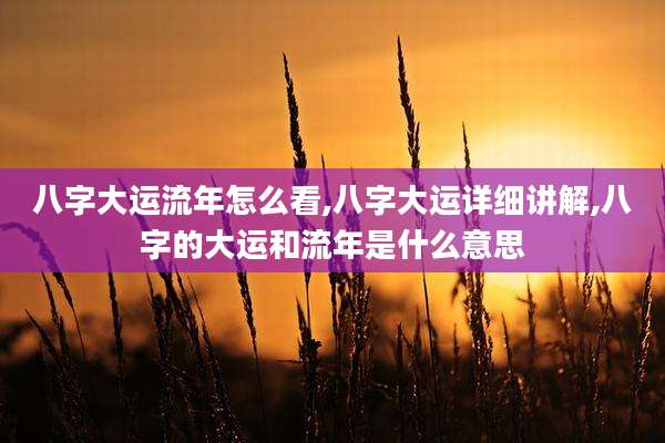 八字大运流年怎么看,八字大运详细讲解,八字的大运和流年是什么意思