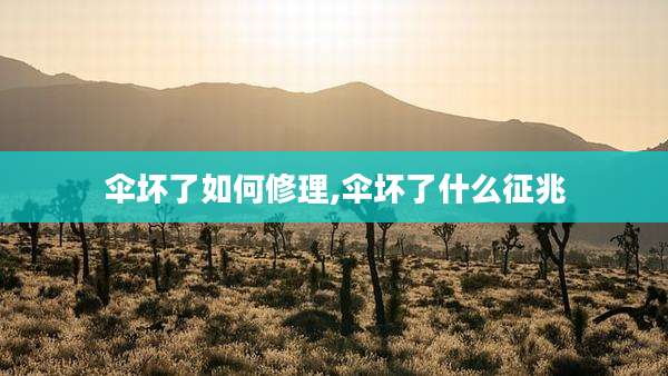 伞坏了如何修理,伞坏了什么征兆