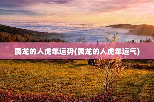属龙的人虎年运势(属龙的人虎年运气)