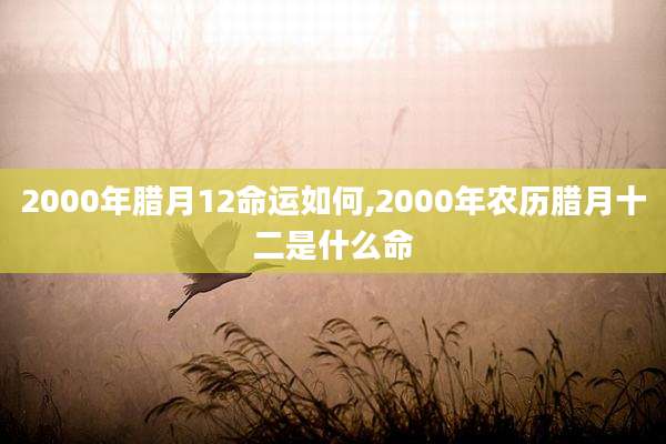 2000年腊月12命运如何,2000年农历腊月十二是什么命