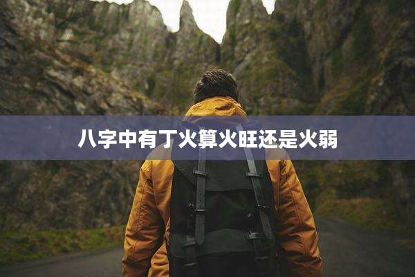 八字中有丁火算火旺还是火弱