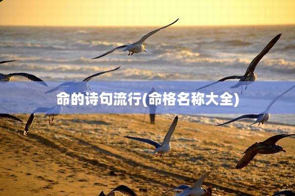 命的诗句流行(命格名称大全)