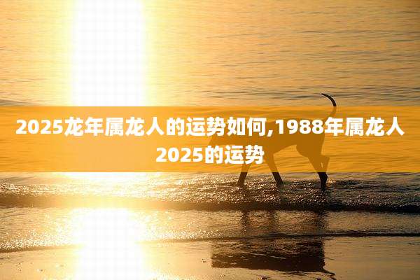 2025龙年属龙人的运势如何,1988年属龙人2025的运势