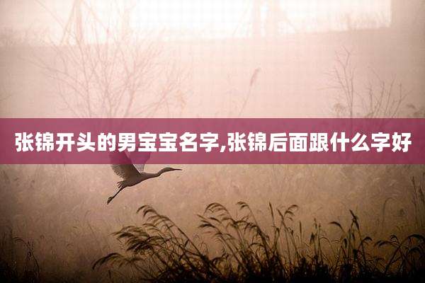 张锦开头的男宝宝名字,张锦后面跟什么字好