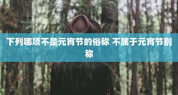 下列哪项不是元宵节的俗称 不属于元宵节别称