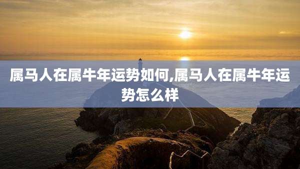 属马人在属牛年运势如何,属马人在属牛年运势怎么样