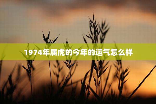 1974年属虎的今年的运气怎么样