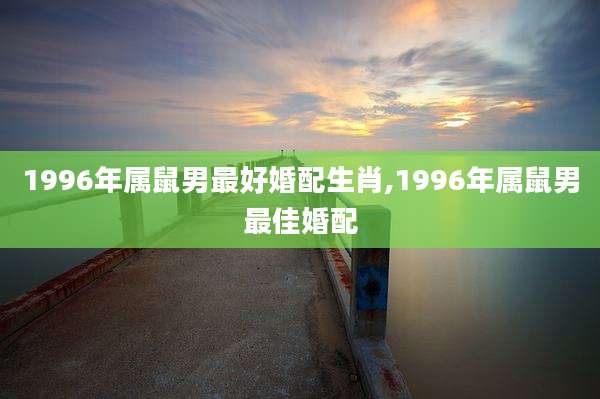 1996年属鼠男最好婚配生肖,1996年属鼠男最佳婚配