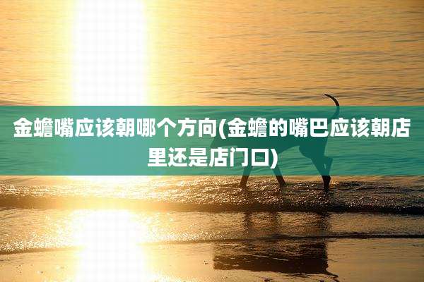 金蟾嘴应该朝哪个方向(金蟾的嘴巴应该朝店里还是店门口)