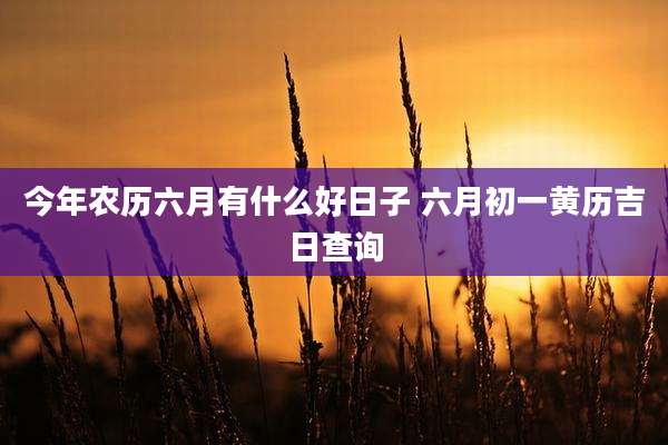 今年农历六月有什么好日子 六月初一黄历吉日查询