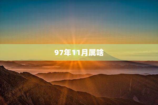 97年11月属啥