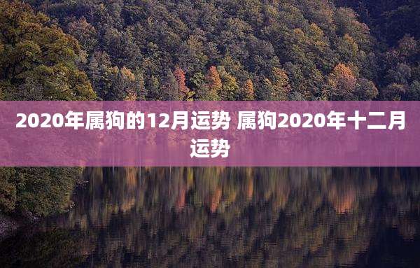2020年属狗的12月运势 属狗2020年十二月运势