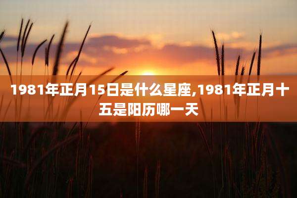 1981年正月15日是什么星座,1981年正月十五是阳历哪一天