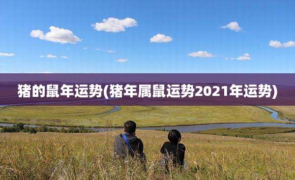 猪的鼠年运势(猪年属鼠运势2021年运势)