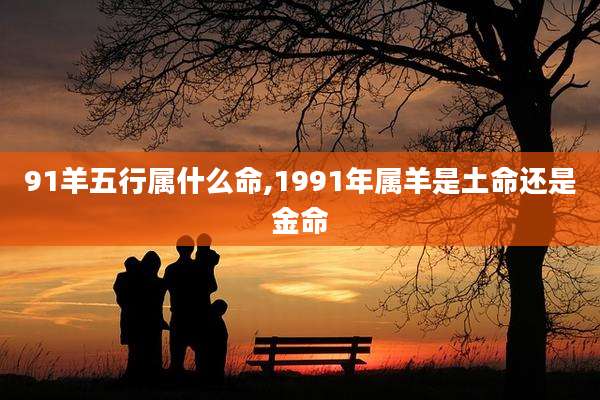 91羊五行属什么命,1991年属羊是土命还是金命