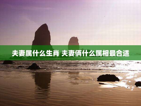夫妻属什么生肖 夫妻俩什么属相最合适