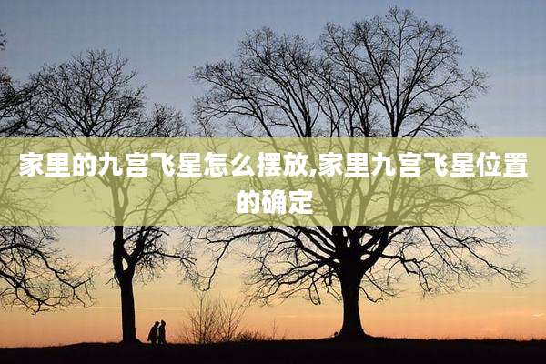 家里的九宫飞星怎么摆放,家里九宫飞星位置的确定